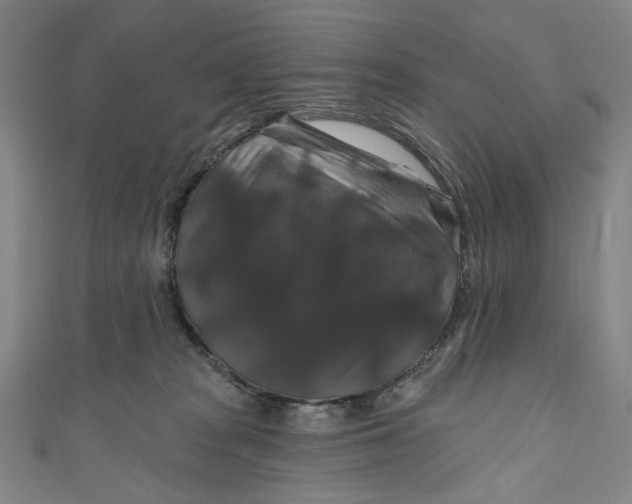 X0000111200277200907221136