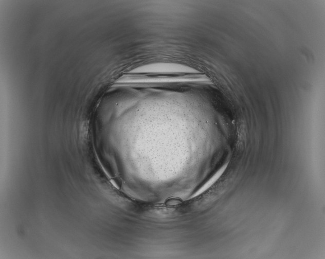 X0000111200278200907221136