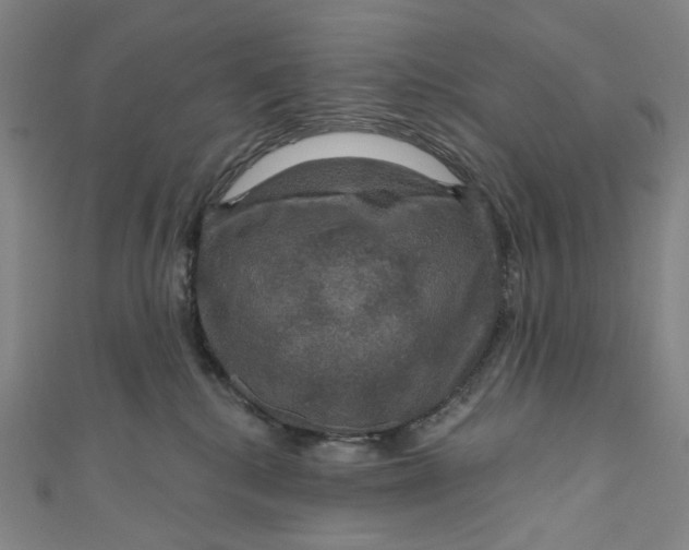 X0000111200280200907221136