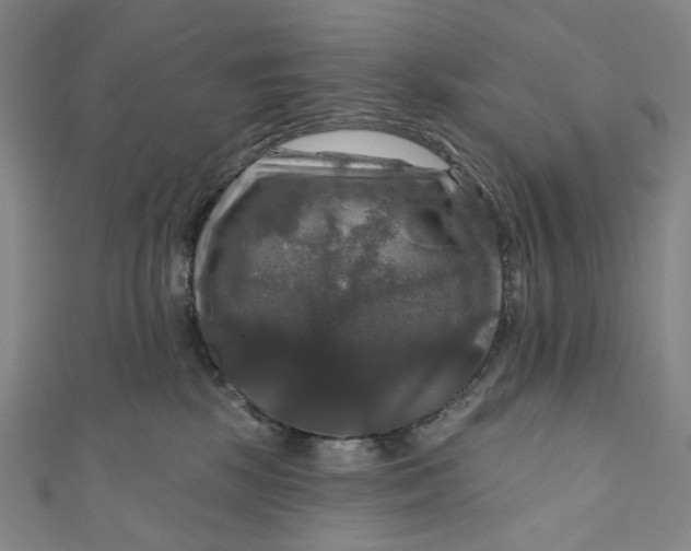 X0000111200281200907221136