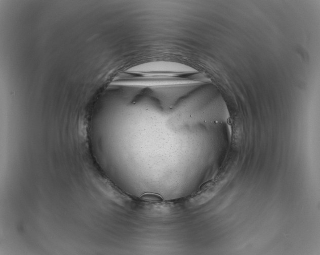 X0000111200282200907221136