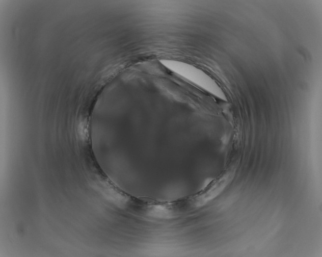 X0000111200285200907221136