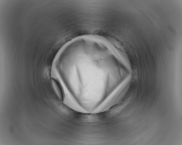 X0000111200286200907221136