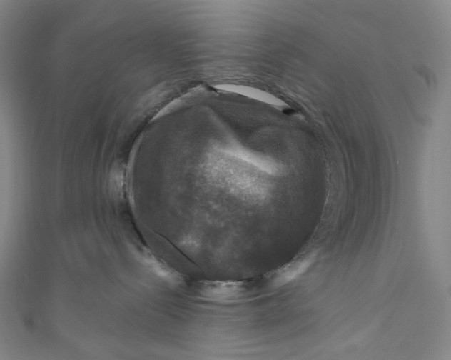 X0000111200288200907221136