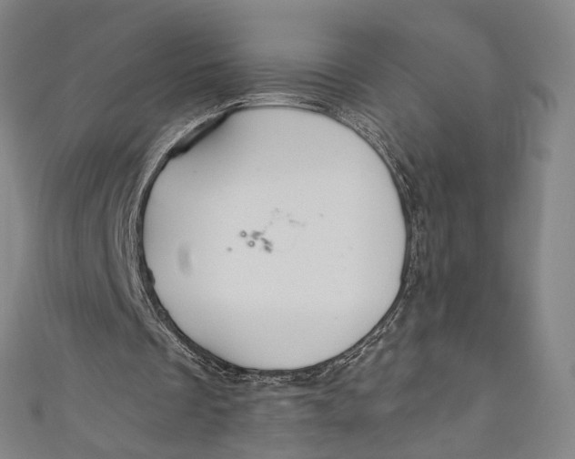 X0000111200289200907221136