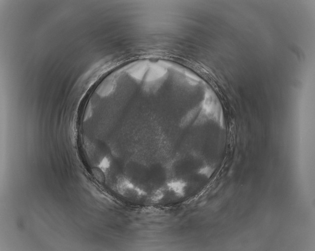 X0000111200290200907221136