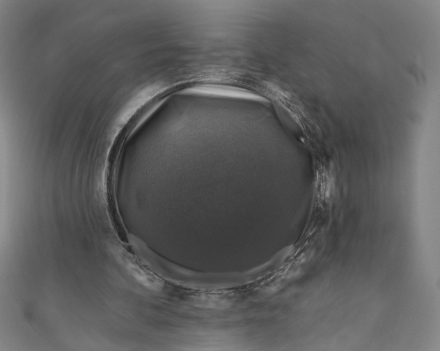 X0000111200292200907221136