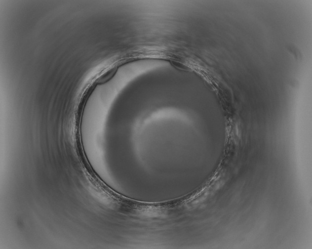 X0000111200293200907221136