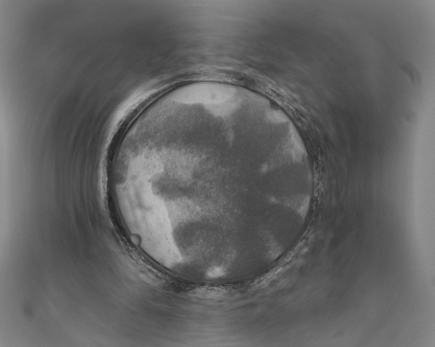 X0000111200294200907221136