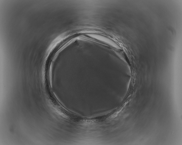 X0000111200296200907221136