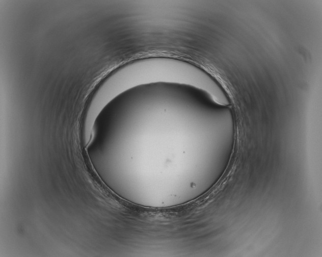 X0000111200297200907221136