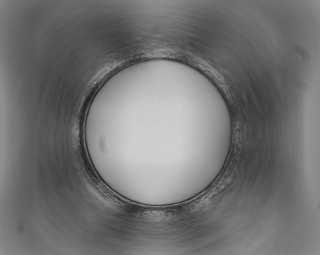 X0000111200298200907221136