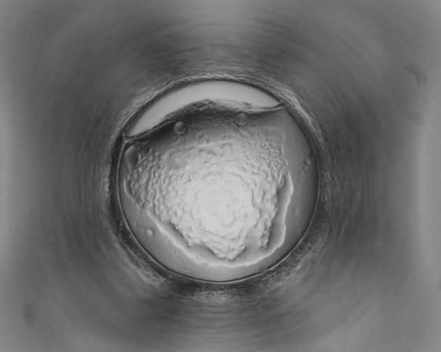 X0000111200299200907221136