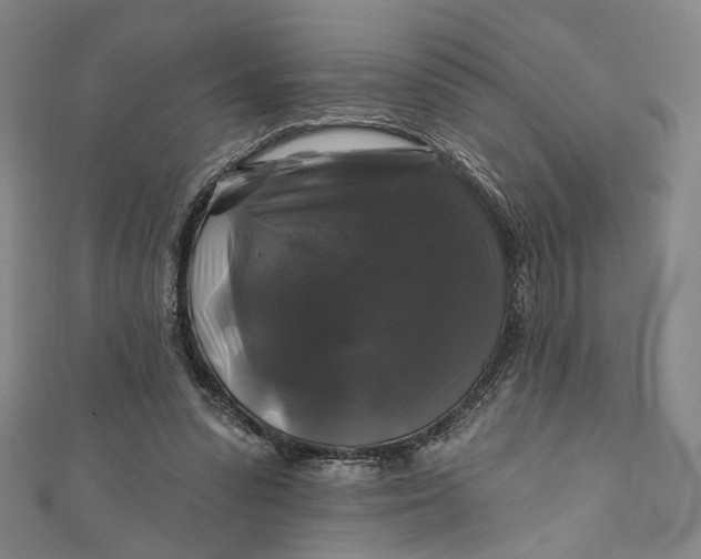 X0000111200303200907221136