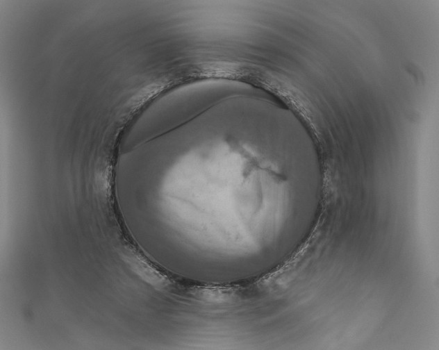 X0000111200305200907221136