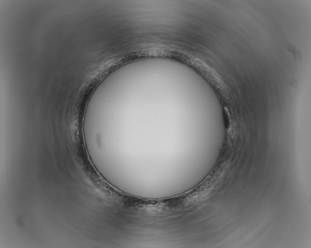 X0000111200306200907221136