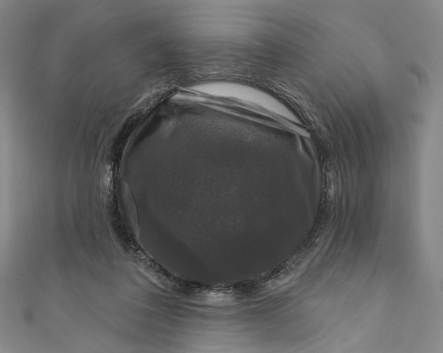 X0000111200308200907221136