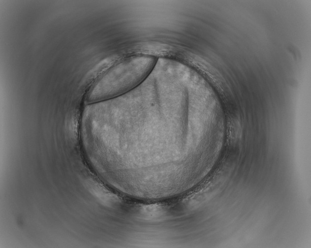 X0000111200309200907221136