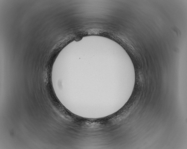 X0000111200311200907221136