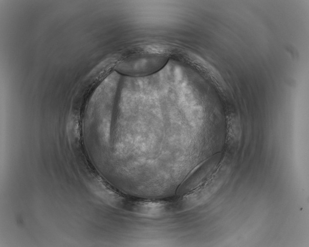 X0000111200313200907221136