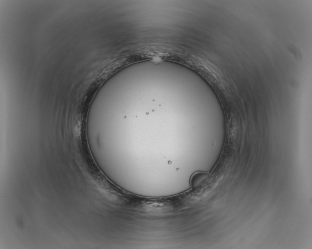 X0000111200315200907221135