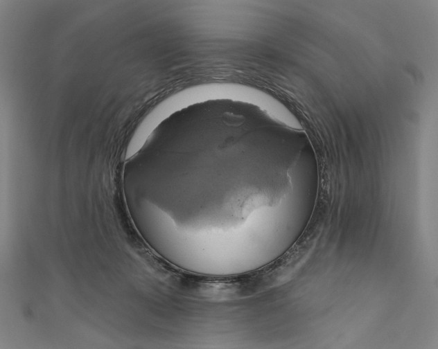 X0000111200319200907221135