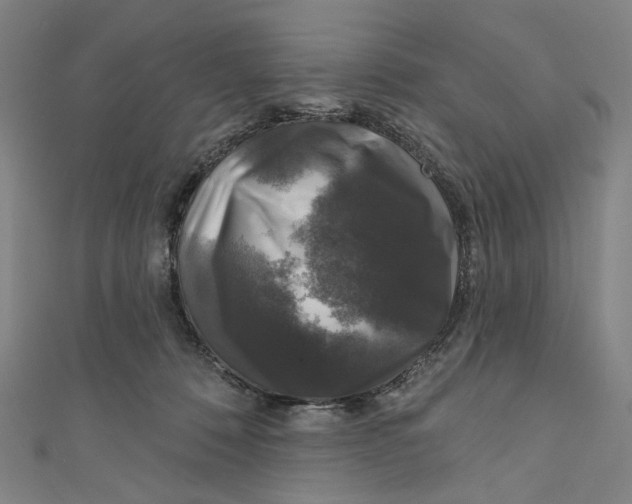 X0000111200320200907221135