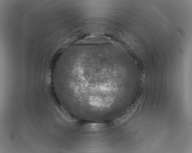 X0000111200323200907221135