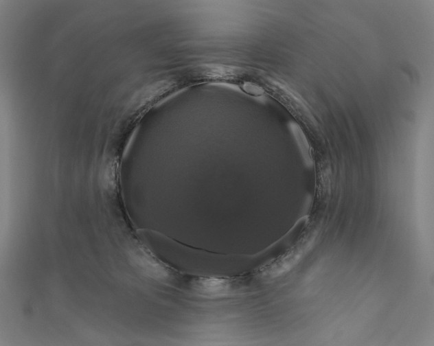 X0000111200325200907221135