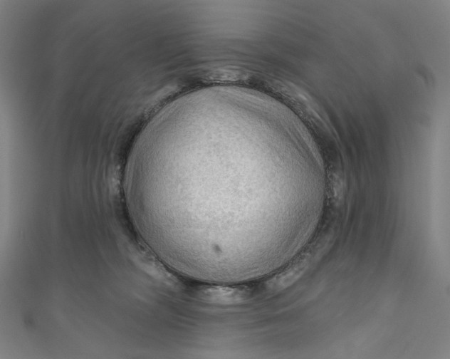 X0000111200326200907221135