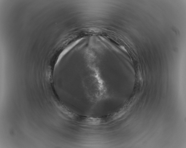 X0000111200328200907221135