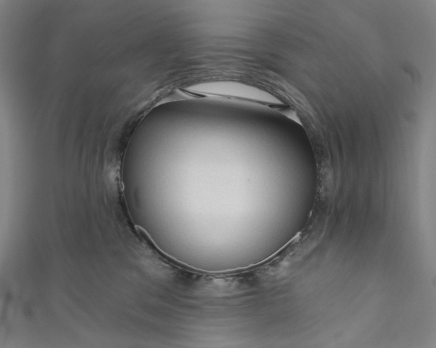 X0000111200329200907221135