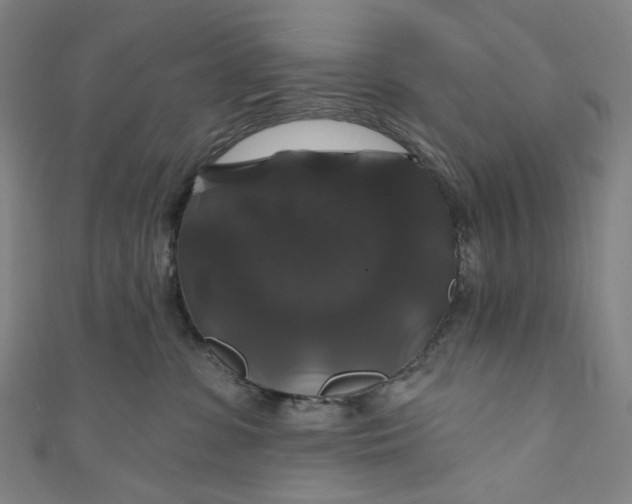 X0000111200331200907221135