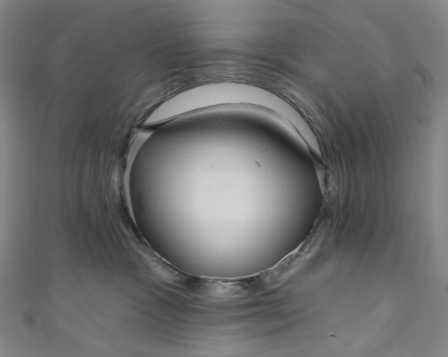 X0000111200333200907221135