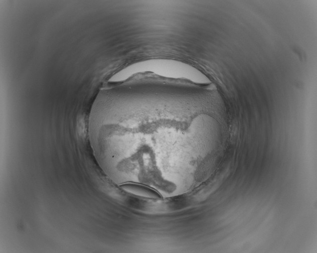 X0000111200335200907221135