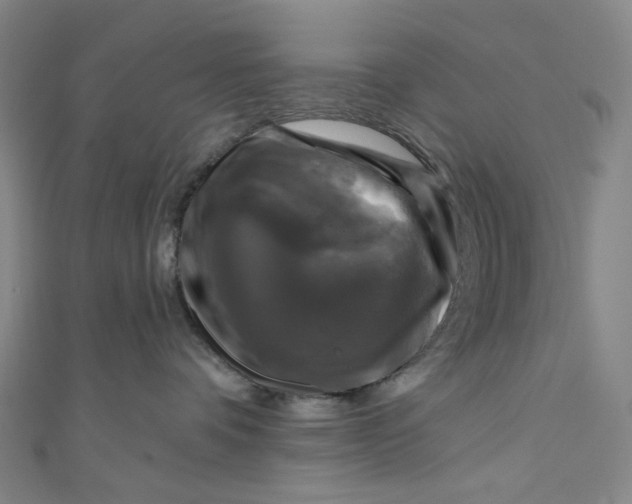 X0000111200336200907221135