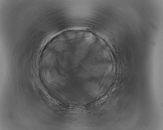 X0000111200337200907221135