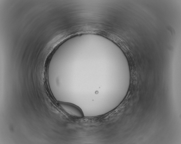 X0000111200338200907221135