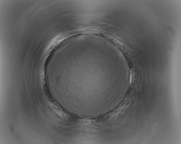 X0000111200339200907221135