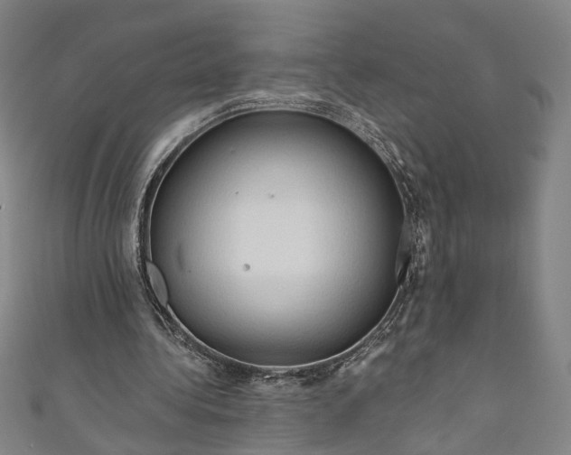 X0000111200340200907221135