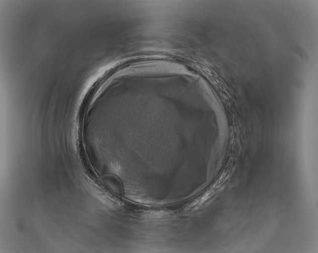 X0000111200342200907221135