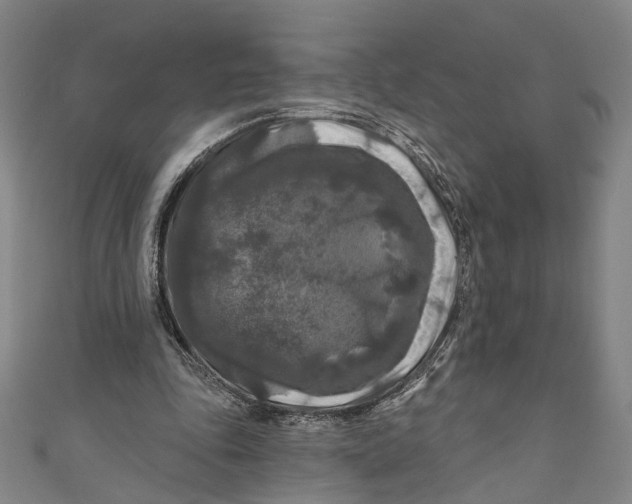 X0000111200343200907221135