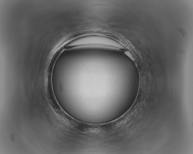 X0000111200344200907221135