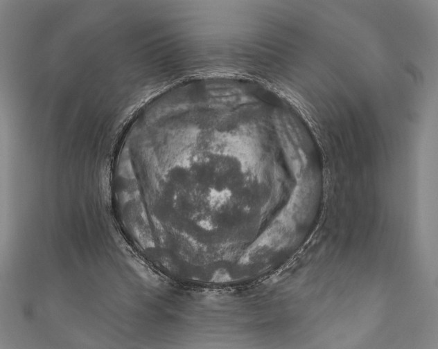 X0000111200345200907221135