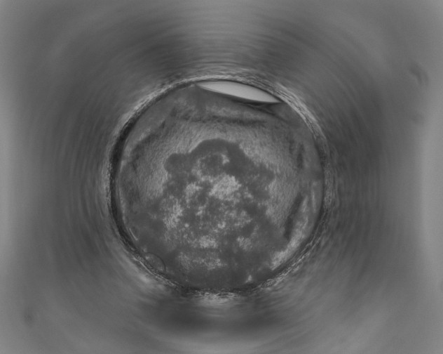 X0000111200346200907221135