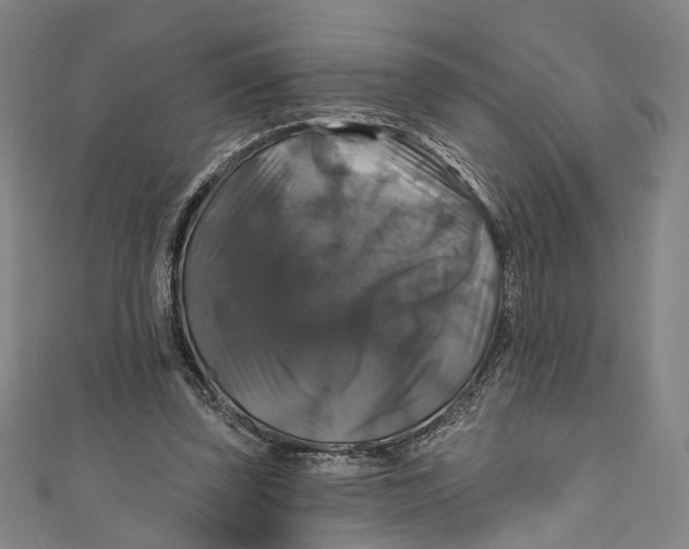 X0000111200347200907221135