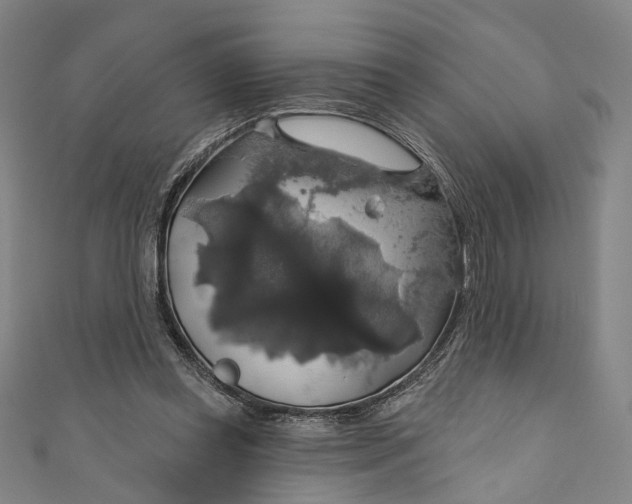 X0000111200349200907221135