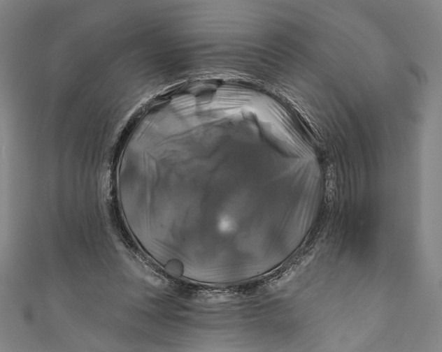 X0000111200351200907221135