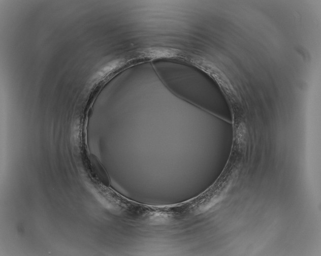 X0000111200352200907221135