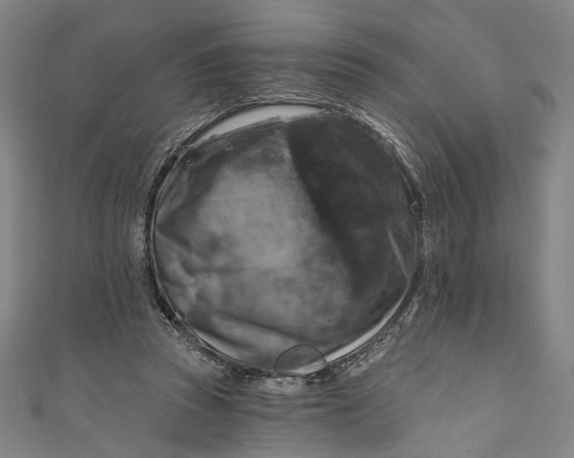 X0000111200353200907221135